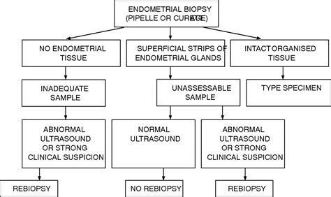 endometrial biopsy results interpretation|Endometrial biopsy: Indications, techniques and .